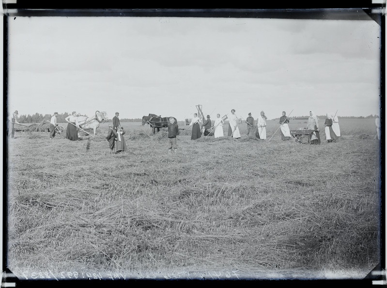 fotonegatiiv, Halliste khk, Tõlla talu, heinategu, omanik Meltsas, 1907 foto J.Riet