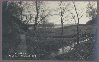 foto albumis, Viljandi, Valuoja org ja oja, taga järv, u 1915, foto J. Riet  duplicate photo