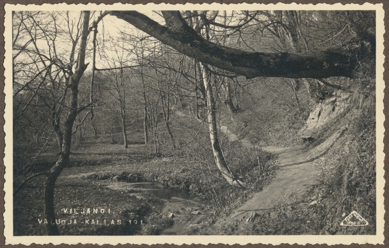 foto albumis, Viljandi, Valuoja org ja oja, u 1915, foto J. Riet