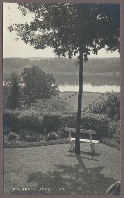 foto albumis, Viljandi, Lutsu tn 3 aed, järv, u 1910, foto J. Riet  duplicate photo
