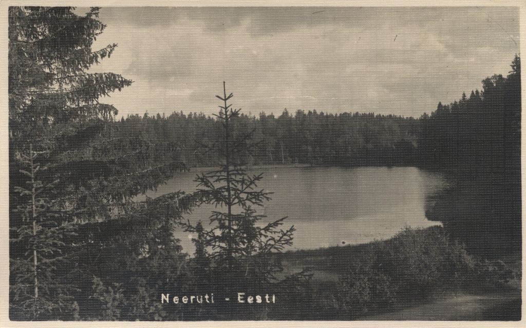 Enrolled in : Estonia