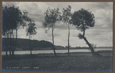 foto albumis, Viljandi, järv ümbrusega, üksikud puud, u 1920, foto J. Riet  duplicate photo