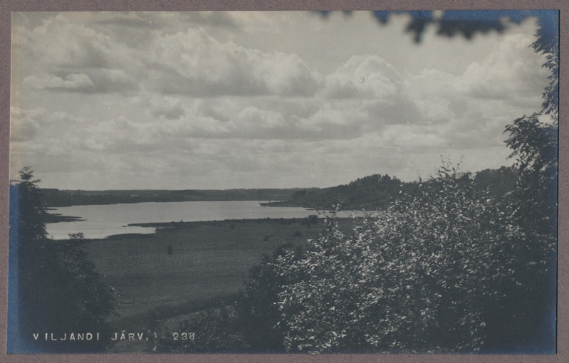 foto albumis, Viljandi, järveäärne heinamaa, järv, u 1920, foto J. Riet