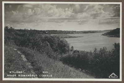 foto albumis, Viljandi, linn ja järv Männimäe poolt, u 1915, foto J. Riet  duplicate photo