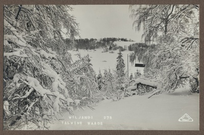 foto albumis, Viljandi, talv, lumine vaade järvele ja Närska mäele Huntaugu mäelt, u 1920, foto J. Riet  duplicate photo