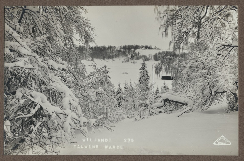 foto albumis, Viljandi, talv, lumine vaade järvele ja Närska mäele Huntaugu mäelt, u 1920, foto J. Riet