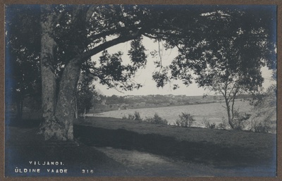 foto albumis, Viljandi, järv ja linn, vaade Männimäe alt, u 1920, foto J. Riet  duplicate photo