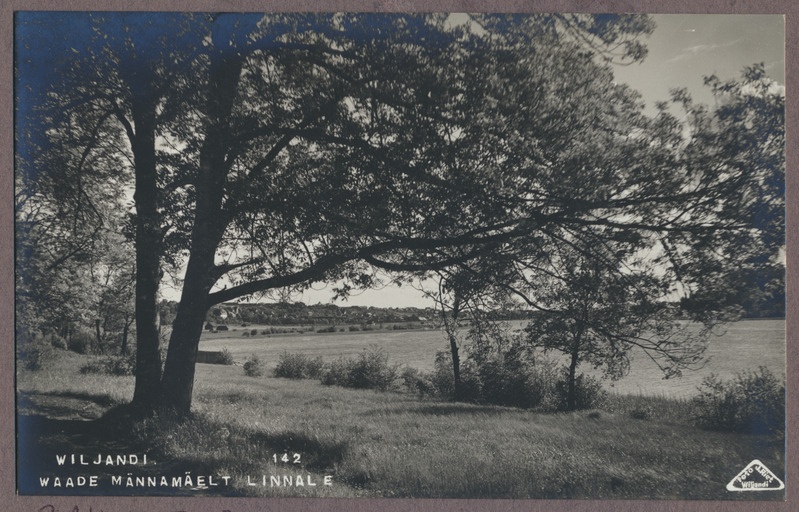 foto albumis, Viljandi, järv ja linn, vaade Männimäe alt, u 1920, foto J. Riet