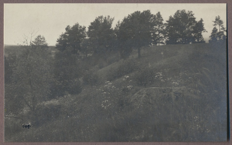 foto albumis, Viljandi, Männimäe, Huntaugu mägi (?), u 1920, foto J. Riet