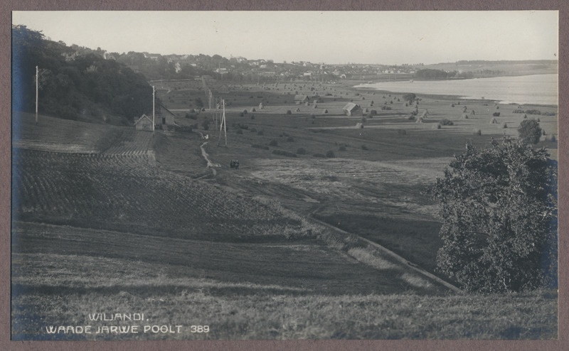 foto albumis, Viljandi, järveäärne heinamaa, järv, u 1925, foto J. Riet