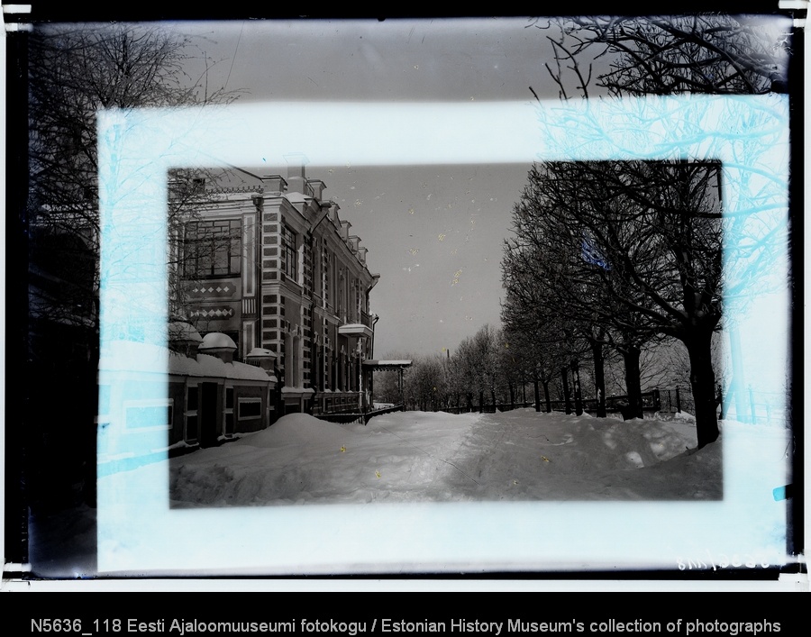 Talvine vaade Koidula puiesteele põhja suunas, vasakul Lavrentsovi maja.