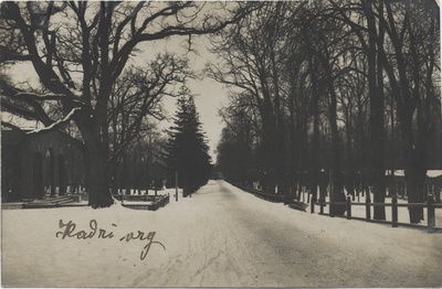 [tallinn] : [Kadriorg]  duplicate photo