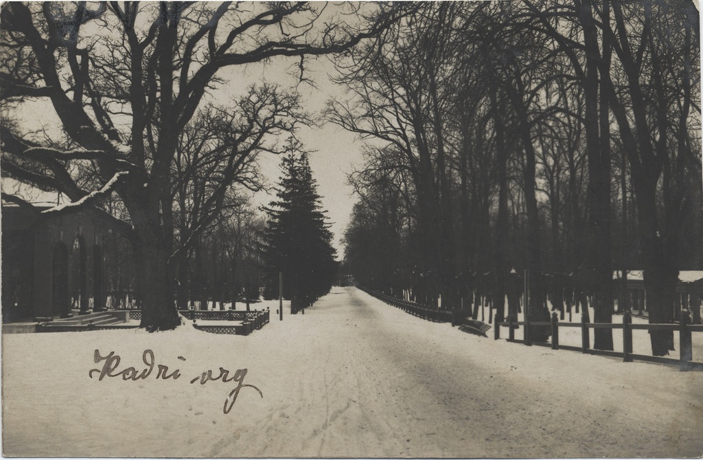 [tallinn] : [Kadriorg]