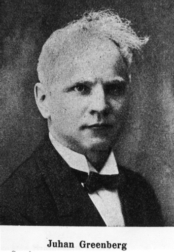Maalikunstnik Johannes Greenberg