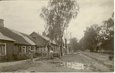 Photo, Dog view 1924.