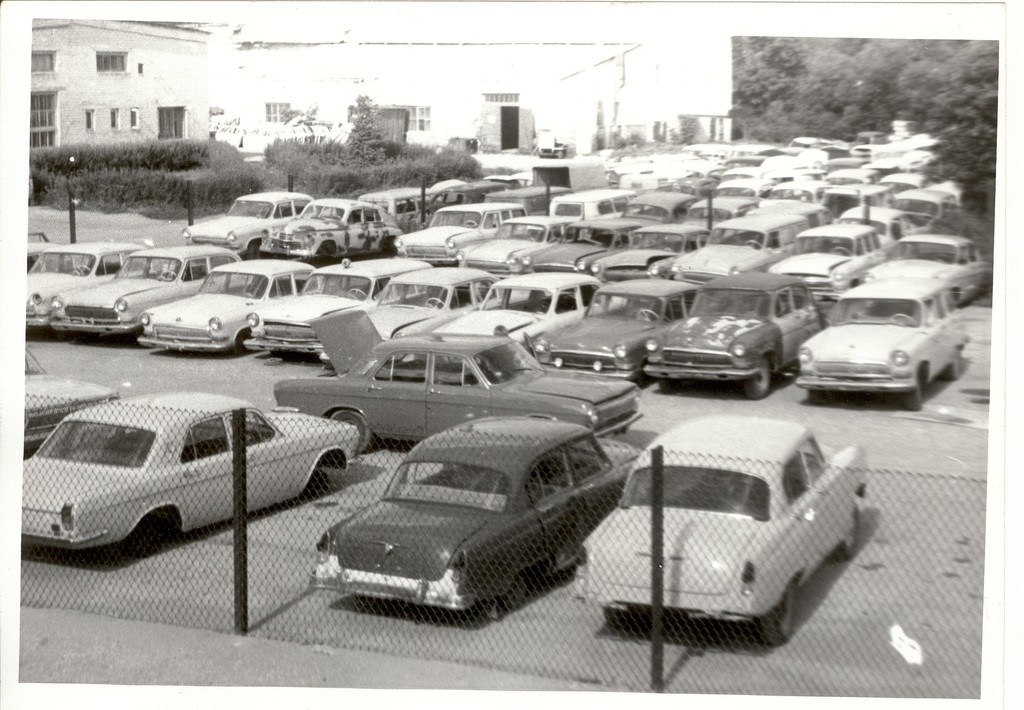 Photo, Dog Auto editing factory in the 1970s a.