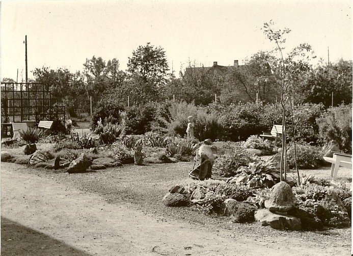 Photo, Dog ornamental garden 1969