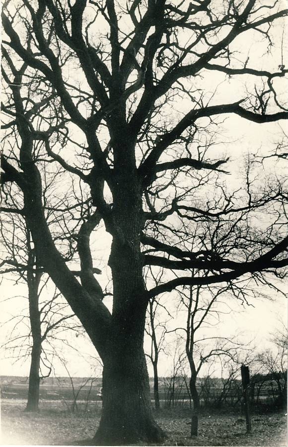 Liigavalla sacrifice battery