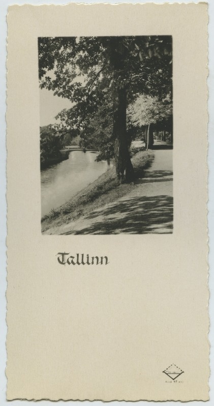 Tallinn, Patkuli kraav, ehk Šnelli tiik
