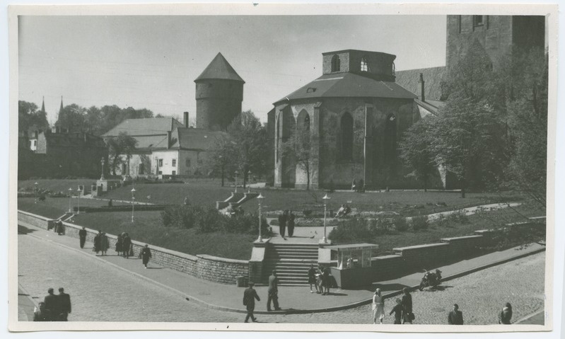 Tallinn, Harju tänava haljasala