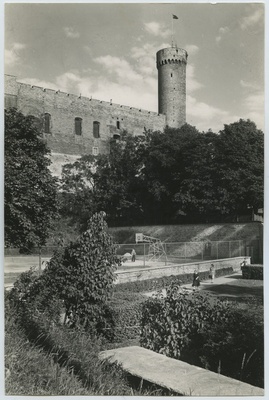 Tallinn, Pikk Hermann  duplicate photo