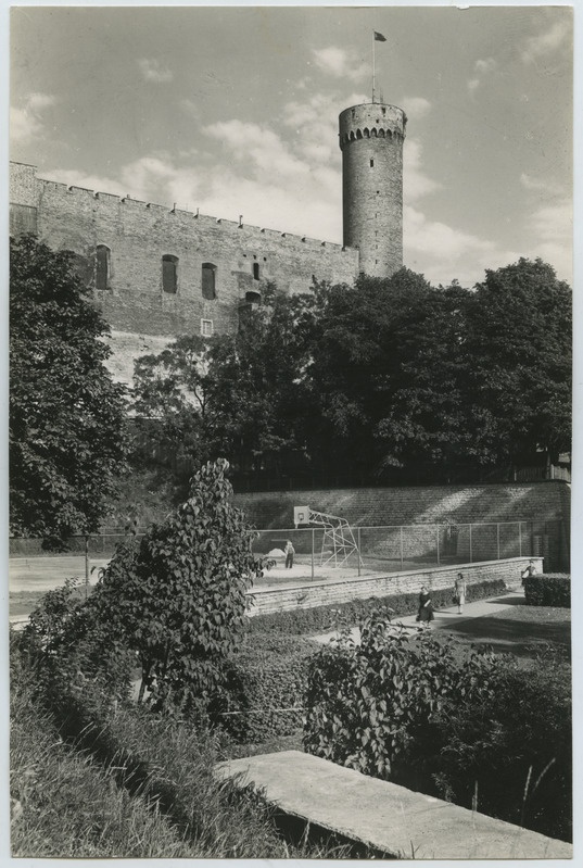 Tallinn, Pikk Hermann