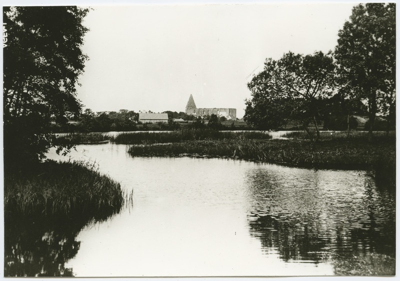 Vaade kloostri varemetele Kose poolt, esiplaanil Pirita jõgi.
