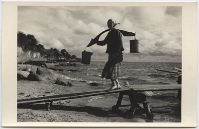 Foto. Sari "Kaunis kodumaa". Peipsi ranniku motiiv  duplicate photo