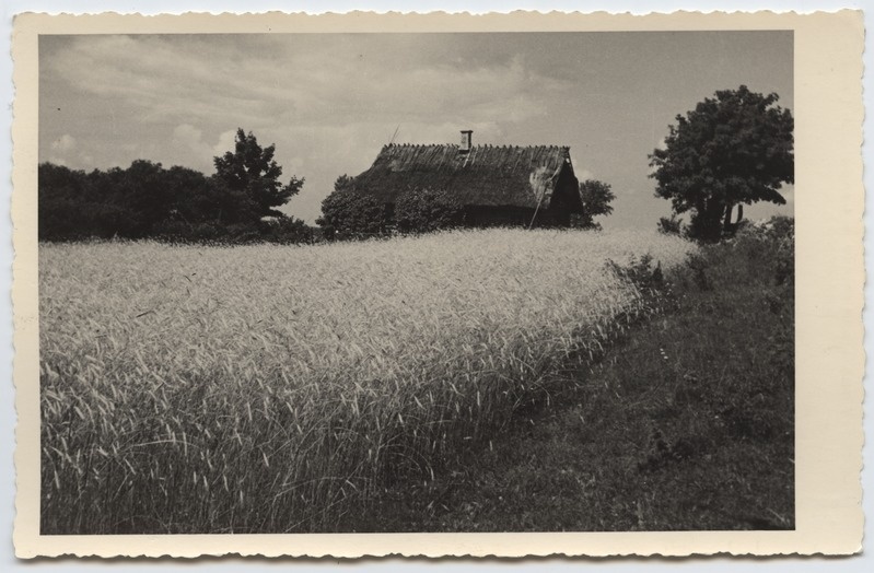 Foto. Sari "Kaunis kodumaa". Saaremaa motiiv
