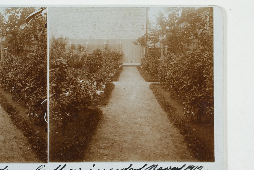 Neumann's garden Kadriorus in 1912. Tallinn