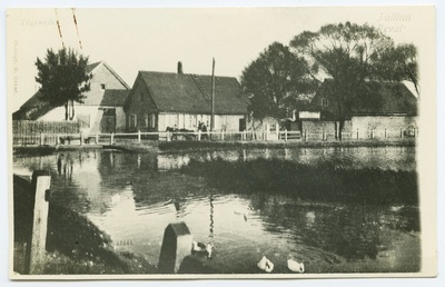 Tallinn, Tiigiveski.  duplicate photo