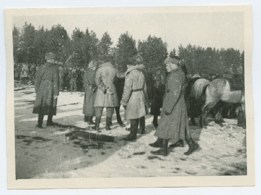 Hobuste ülevaatus Kuramaal enne märtsi 1945.