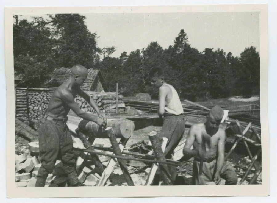 3 sõdurit metsas saagimas, Kloogal 1945. aastal.