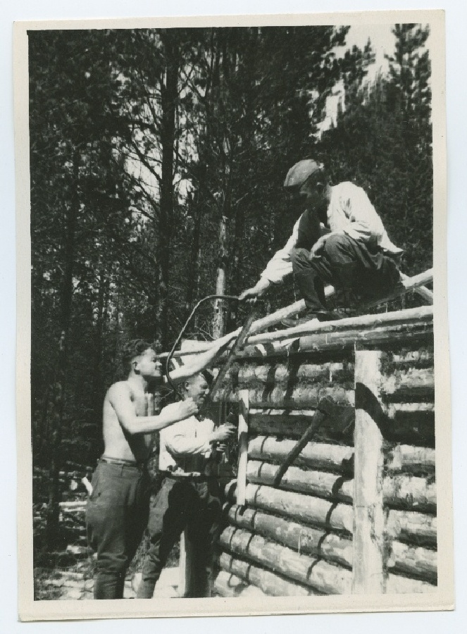 Kolm sideväelast metsas onni ehitamas, Kuramaal.