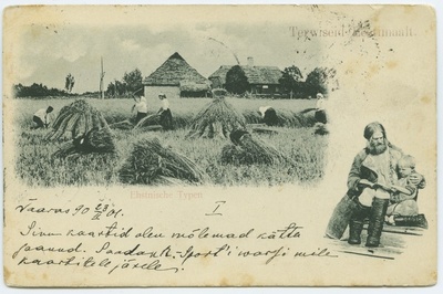 Rukki hakkidesse panek, fotopostkaart seeriast "Estnische typen".  duplicate photo