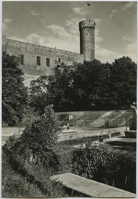 Tallinn, vaade Toompea lossile ja Pikale Hermannile.  duplicate photo
