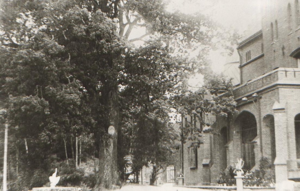 Rear side of Sangaste Castle