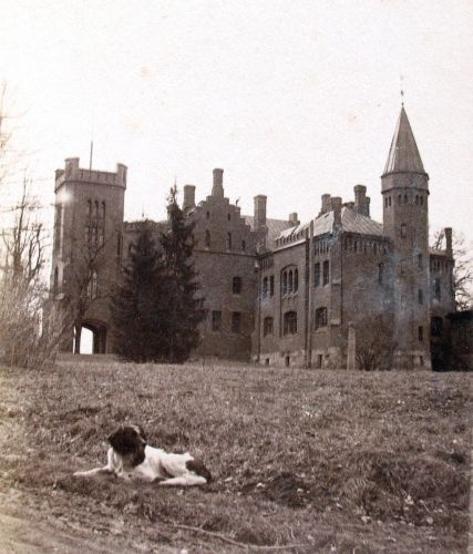 Photo album from 1896.Reported to the owner of the Sangaste Manor for the Country Berg
