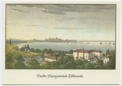Vaade Maarjamäelt Tallinnale, 19. sajand.  duplicate photo