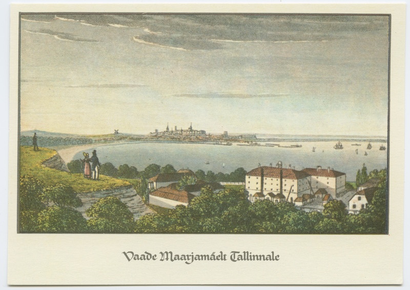 Vaade Maarjamäelt Tallinnale, 19. sajand.