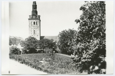 Tallinn. Vaade Niguliste kirikule Harjumäelt  duplicate photo