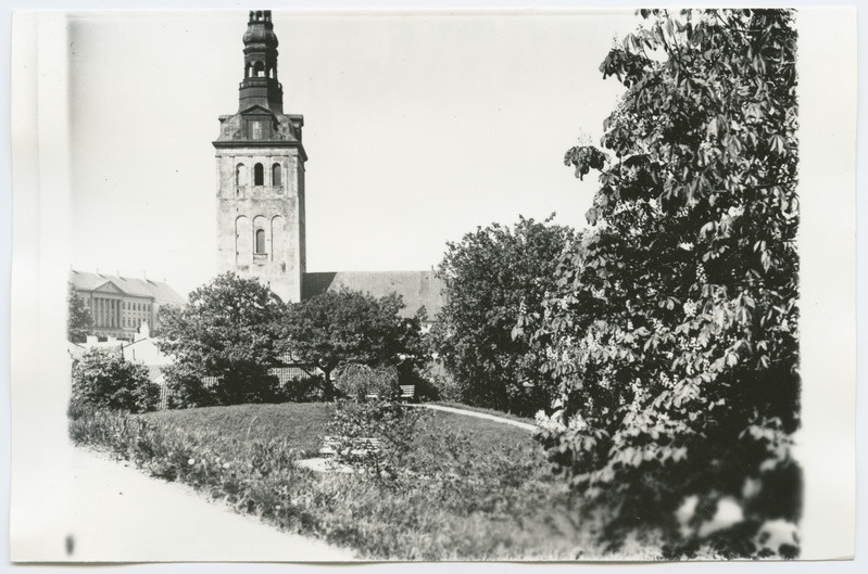 Tallinn. Vaade Niguliste kirikule Harjumäelt