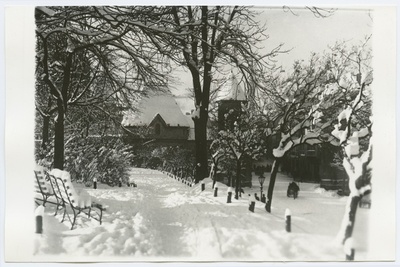 Tallinn. Vaade Musumäe pargile talvel. Taga Viru Värava tornid  duplicate photo