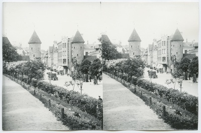 Tallinn. Viruvärava mägi  duplicate photo
