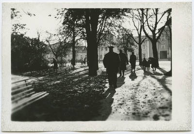 Tallinn. Vabaduse plats  duplicate photo