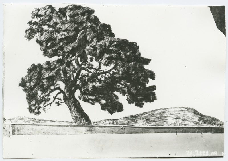 K. Raud "Pedaspea pedajas", söejoonistus 1938. aastast.
