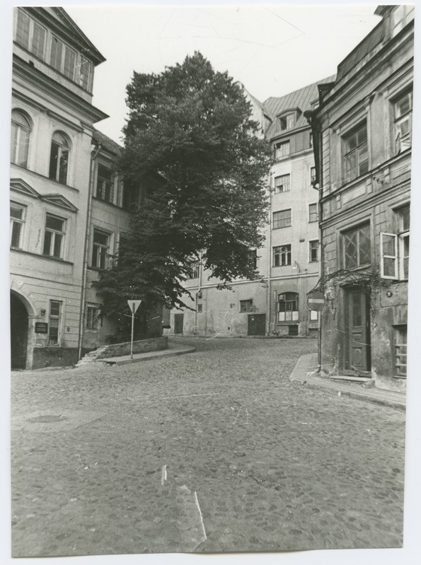 Vaade Olevimäele.
