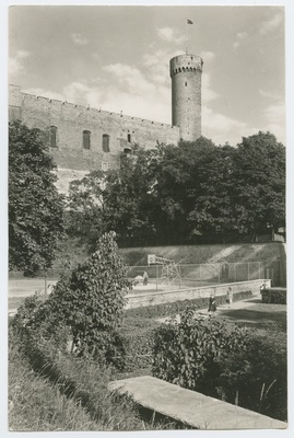 "Pikk Hermann", vaade korvpalliväljaku poolt linnusele.  duplicate photo