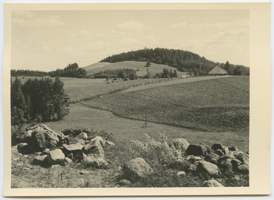 Lõuna-Eesti kuppelmaastik.  duplicate photo