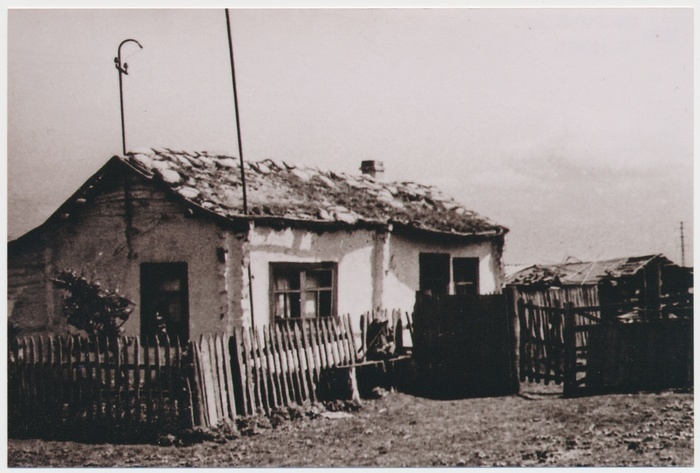 Edvin and Noora Türi residential building in Siberia, Novosibirski district, Minino village